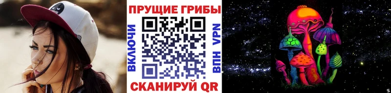 Купить закладки  Белокуриха  Псилоцибиновые грибы Cubensis 
